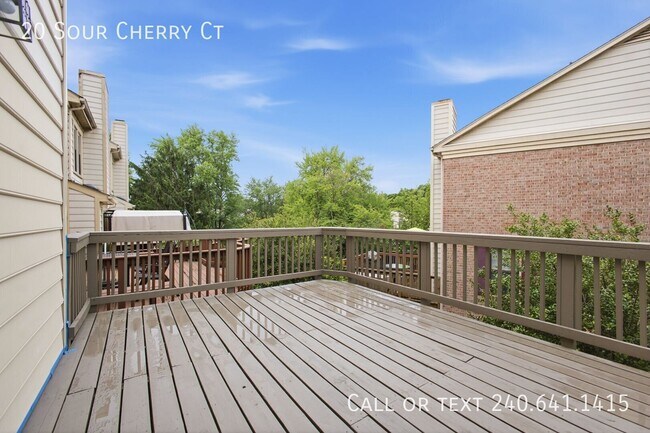 Building Photo - 20 Sour Cherry Ct