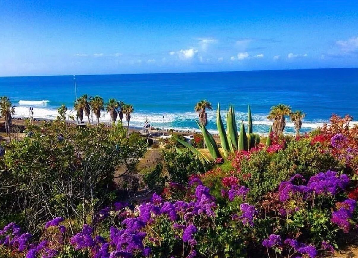 Building Photo - 2531 Costero Magestuoso