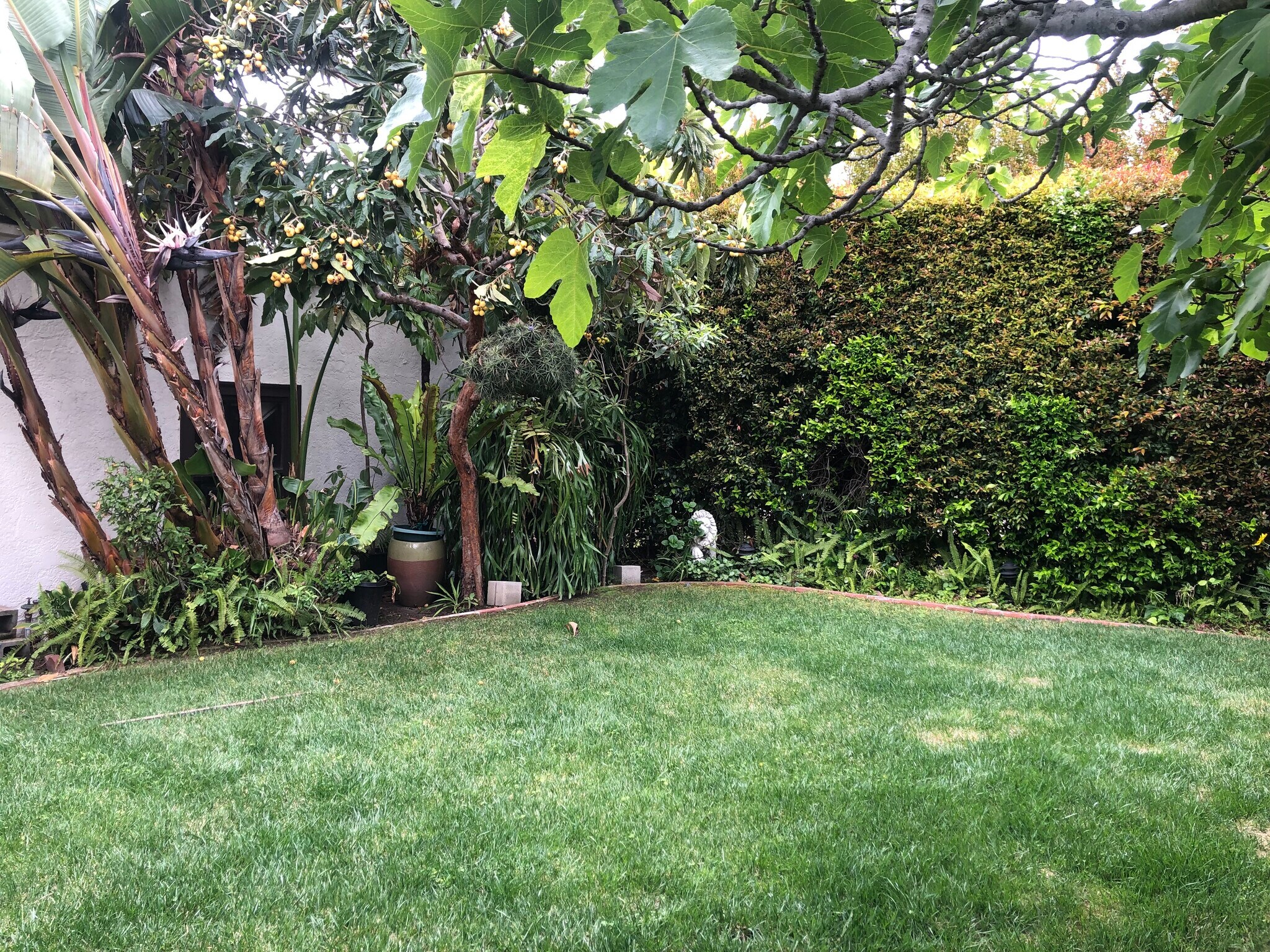 Backyard - 1959 N Catalina St