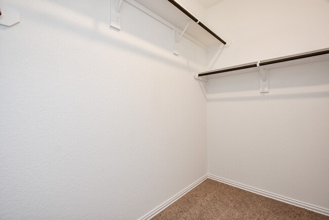 Building Photo - 31326 Black Frst Xing