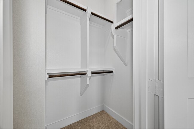 Building Photo - 24110 Blooming Daisy Cir