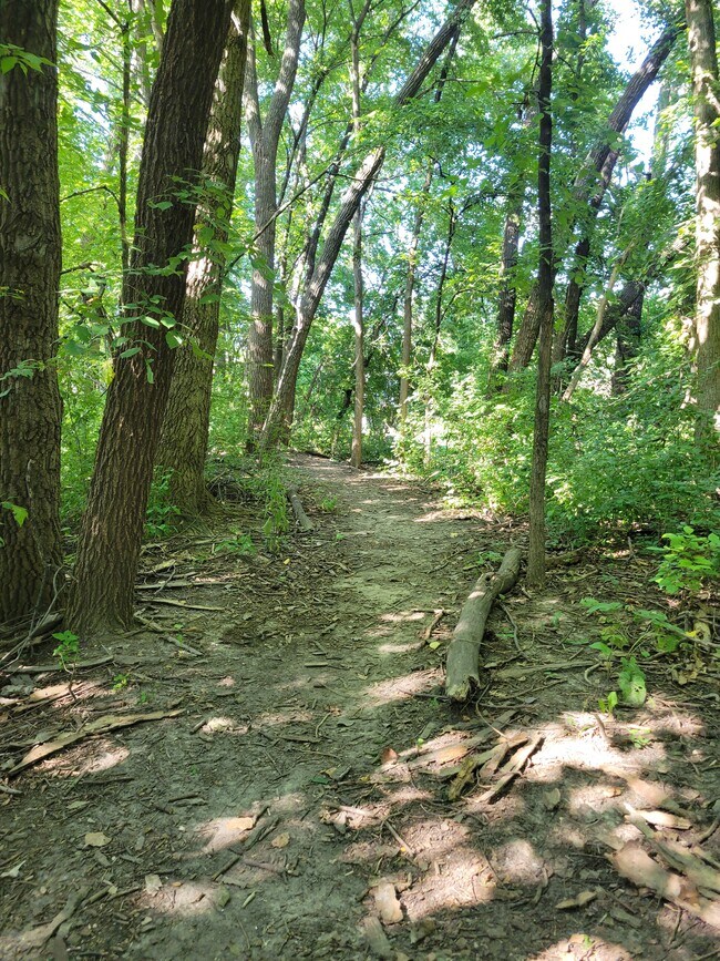 Building Photo - 1859 Yuma Ln N