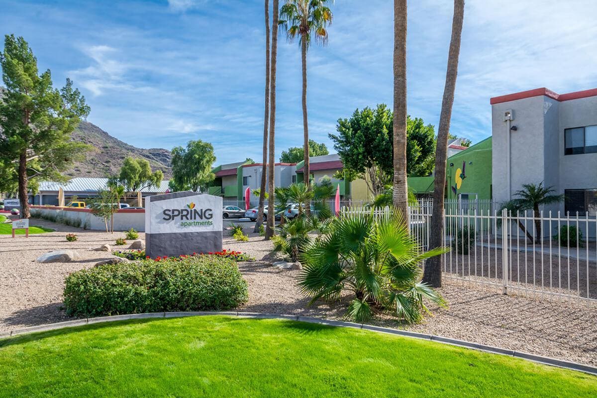Spring Phoenix