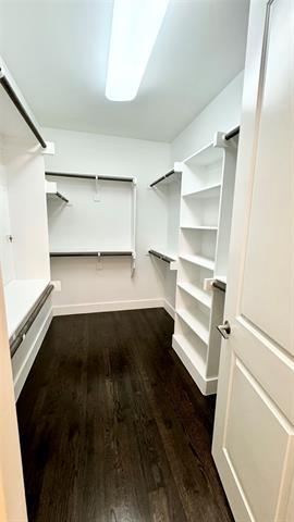 Building Photo - 3018 Zenia Dr