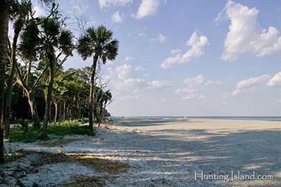 Building Photo - 101 Patrick Dr