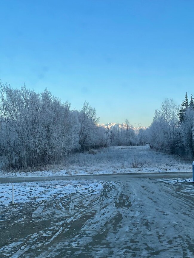 Building Photo - Weeping Birch