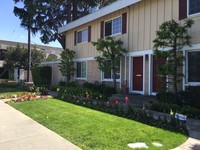 Front Lawn - Deodar Townhomes