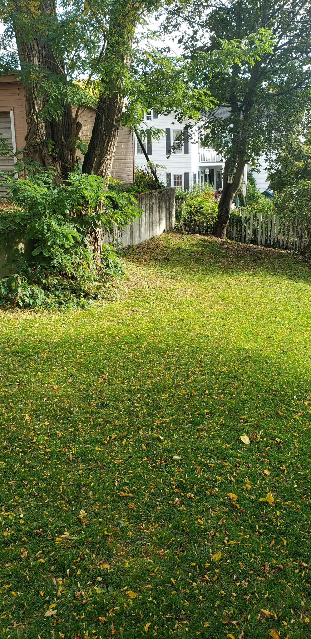 Building Photo - 631 E Monroe St