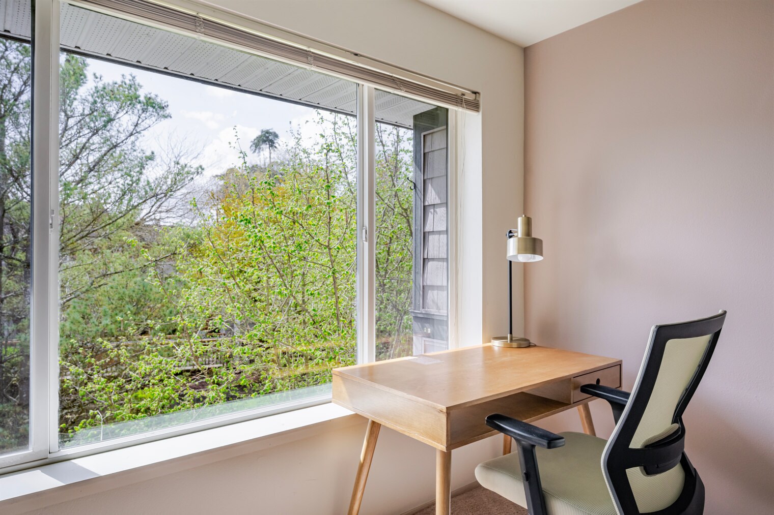 Building Photo - 4740 21st Ave NE