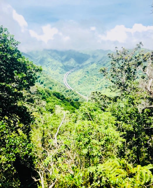 Building Photo - 99-1790-1790 Hoapono Pl