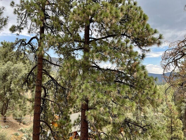 Building Photo - Cozy 3-Bed 2-Bath Cabin-Style Home Nestled...
