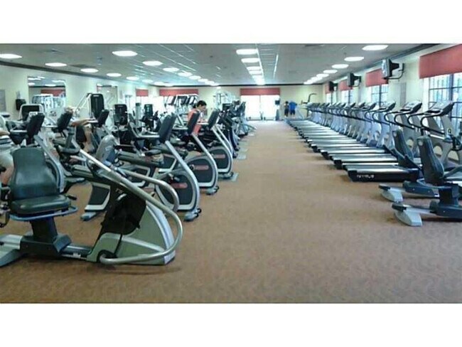 Building Photo - 129 Mansfield D