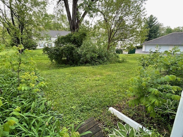 rear yard - 4903 Terminal Dr