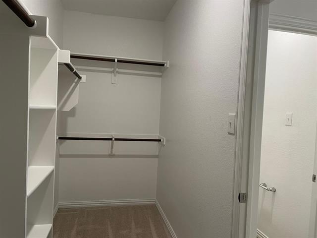 Building Photo - 1113 Sassafras Dr