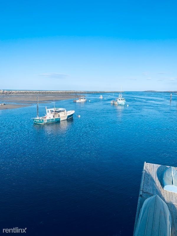 Building Photo - 2 br, 1 bath Apartment - 8 Pine Tree Avenue