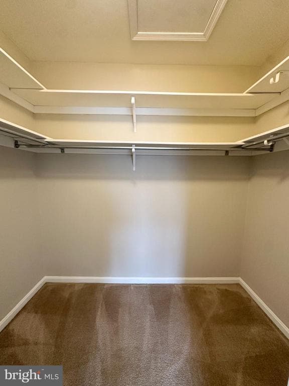 Building Photo - 109 Cardinal Ln