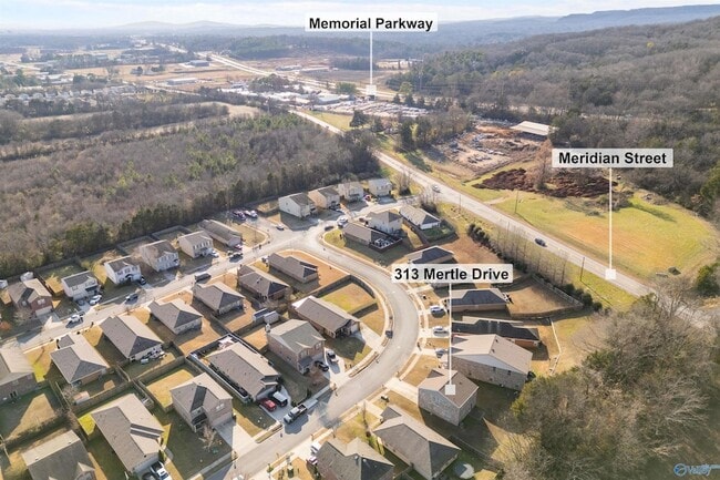 Building Photo - 313 Mertle Dr