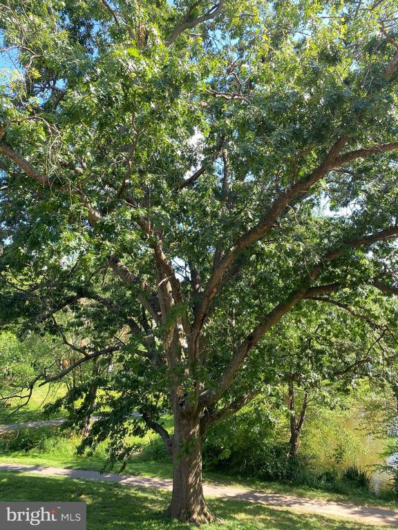 Building Photo - 5412 Midship Ct