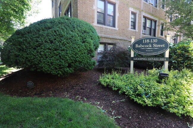 Primary Photo - 118 Babcock St