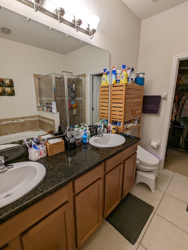 Master bath - 11804 13th Way N