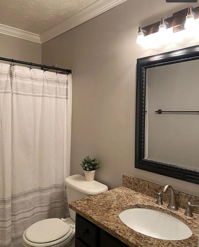 Building Photo - 137 Haywood Dr