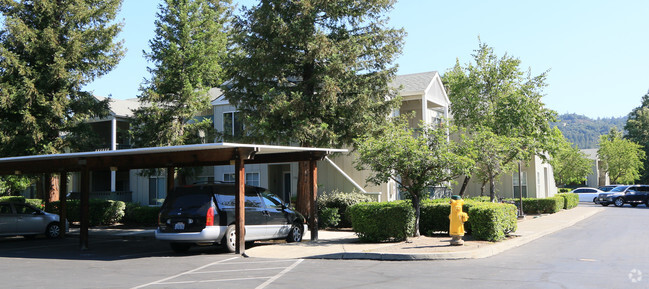Primary Photo - Hunt's Grove Apartments
