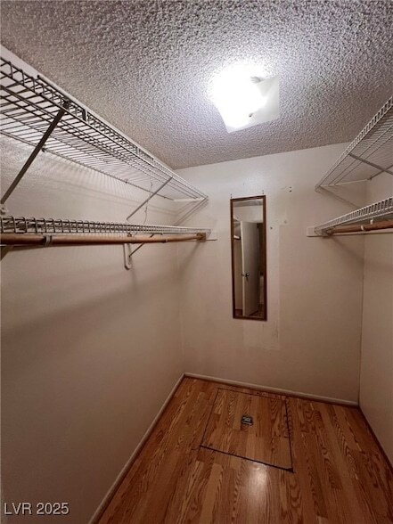Building Photo - 8433 Lomack Ct