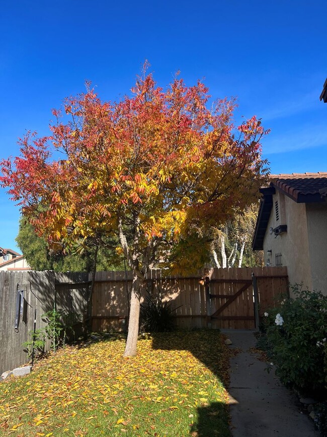 Building Photo - Updated Summerwood home