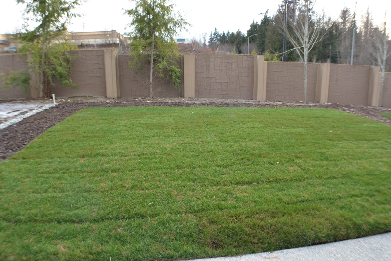 Building Photo - 8732 68th Pl NE