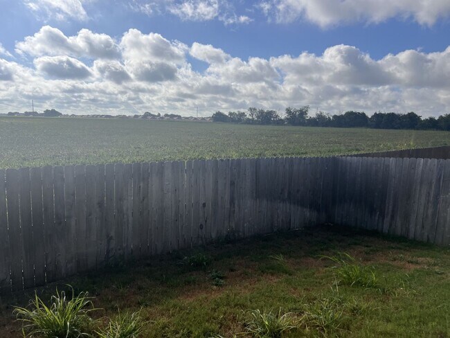 Building Photo - Luxury Duplex in Seguin!