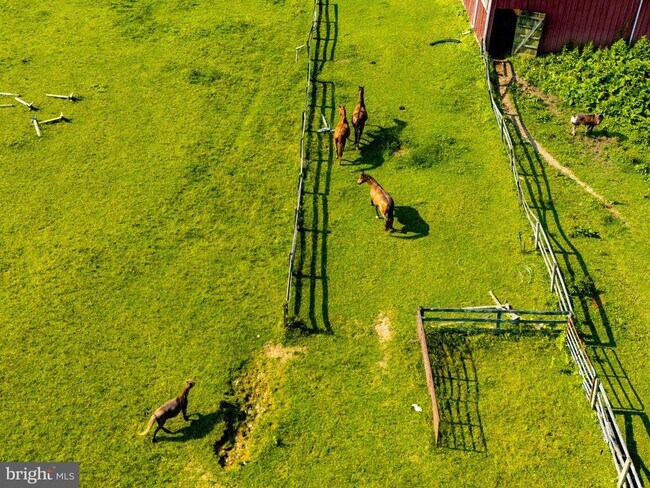 Building Photo - 2101 Tufton Ave