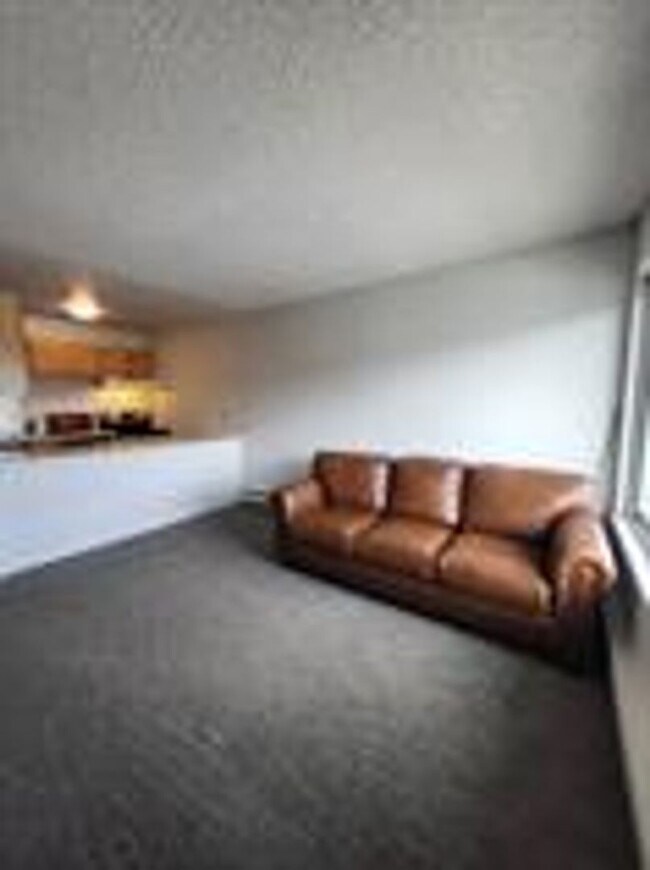 Building Photo - In town Breckenridge Studio!  Heat and Electric included!  Between town and the lifts!  Available...