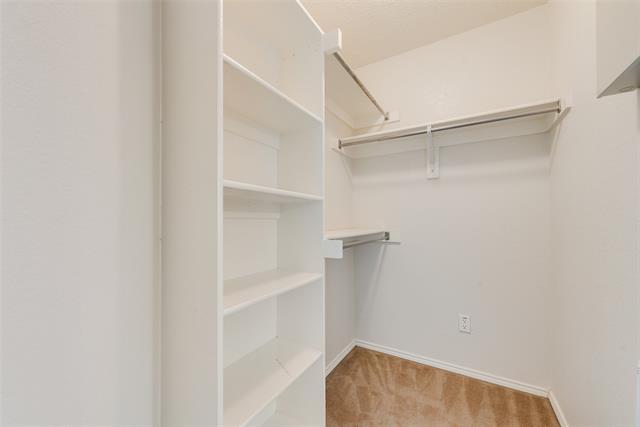 Building Photo - 3010 Canary Ln