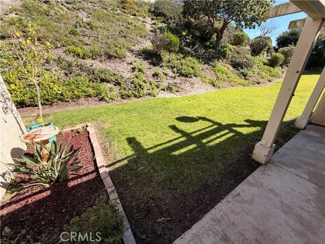 Building Photo - 126 Calle Cuervo