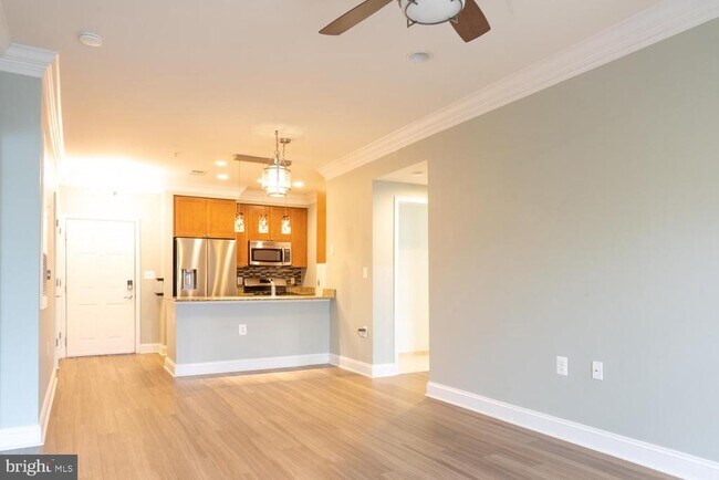 Building Photo - 1115 Cameron St