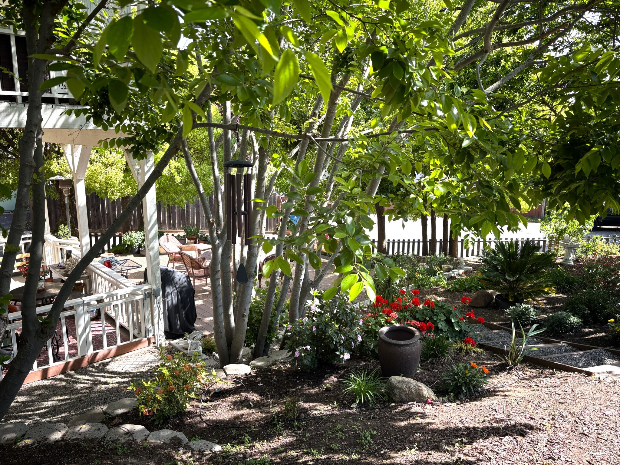 Front Yard - 1340 Hospital Rd