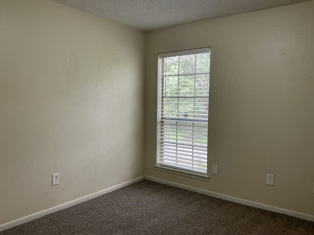 Building Photo - 14423 Sun Harbor Dr