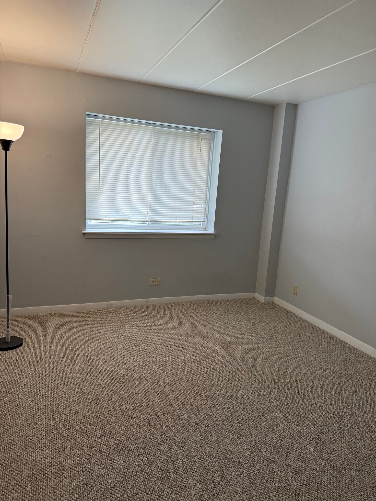 Bedroom 2 - 300 S Roselle Rd