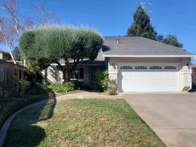 Building Photo - 16745 Spring Hill Ct