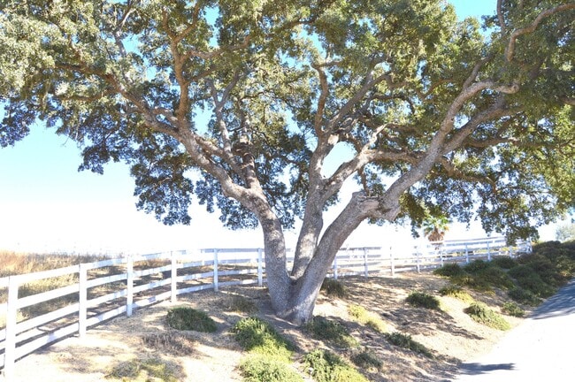 Building Photo - FULLY FURNISHED 1 BEDROOM 1 BATH COUNTRY HOME AVAILABLE ALL UTILITIES INCLUDED