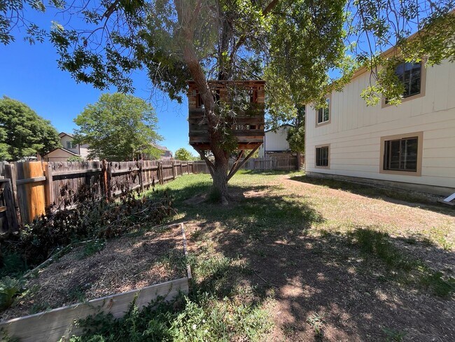 Building Photo - Fantastic Home in Central Fort Collins