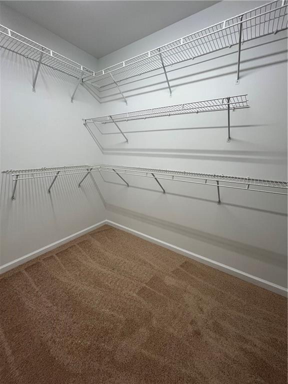 Building Photo - 6535 Ganton Dr