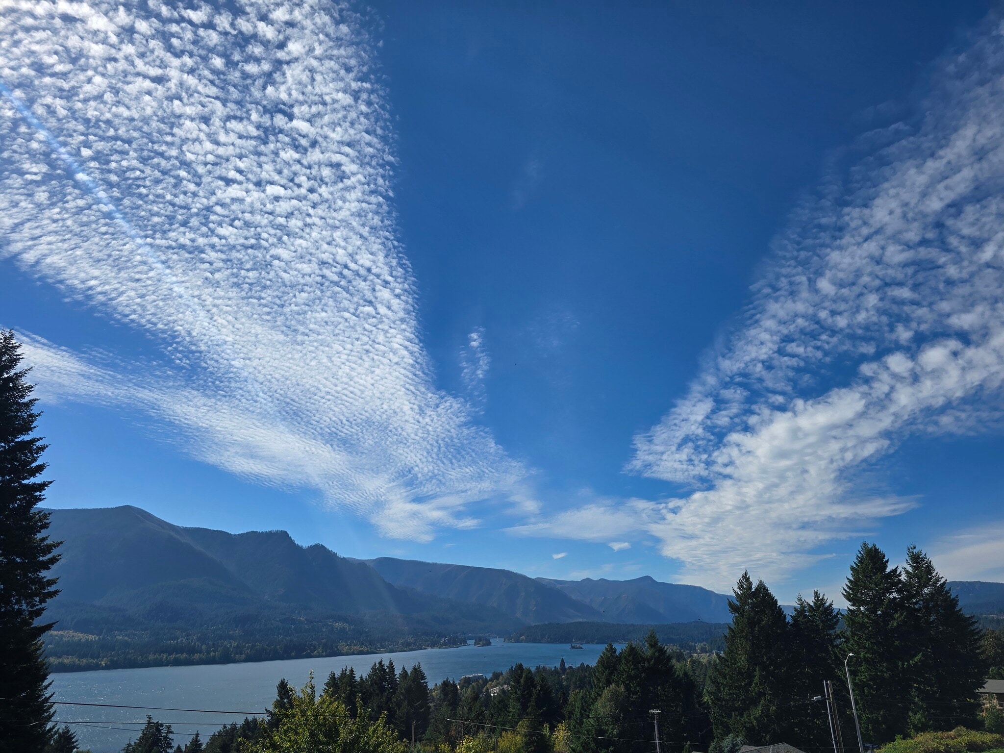 View - 320 NE Wisteria Way