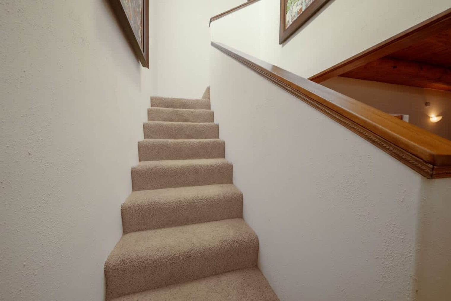 Building Photo - 209 Sena St