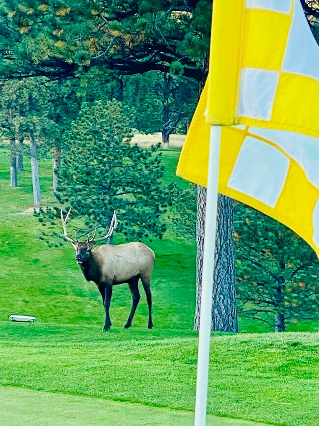 Primary Photo - 2338 Hearth Dr