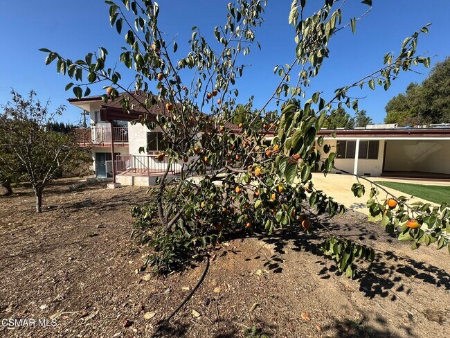 Building Photo - 381 Laguna Terrace