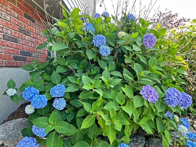 Building Photo - 6 Brownson Terrace