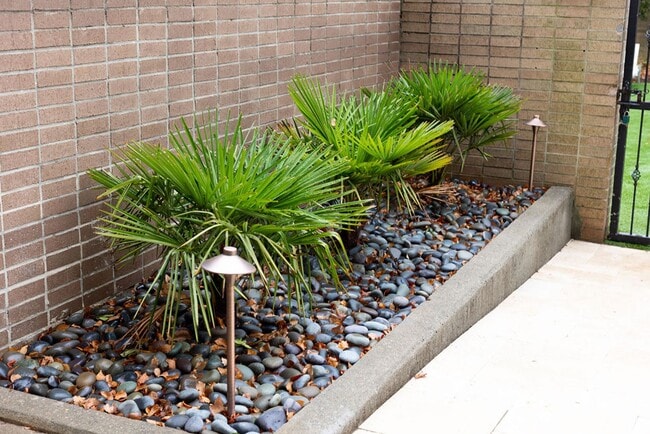 Building Photo - sp185