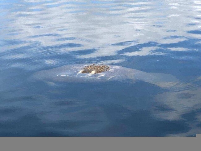 Building Photo - 560 Paula Ave