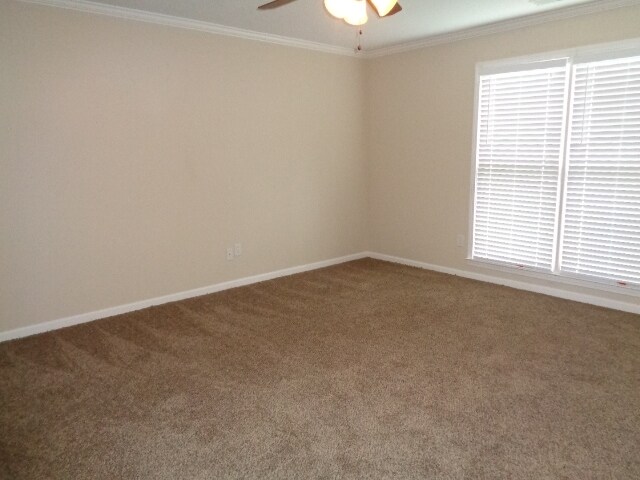 Building Photo - 7976 Old Brownsville Rd